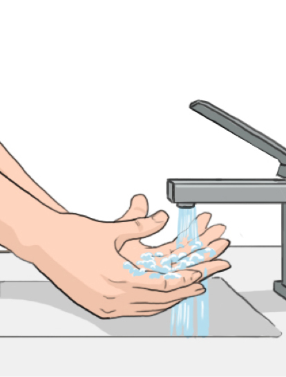 Hands under faucet with soap and water